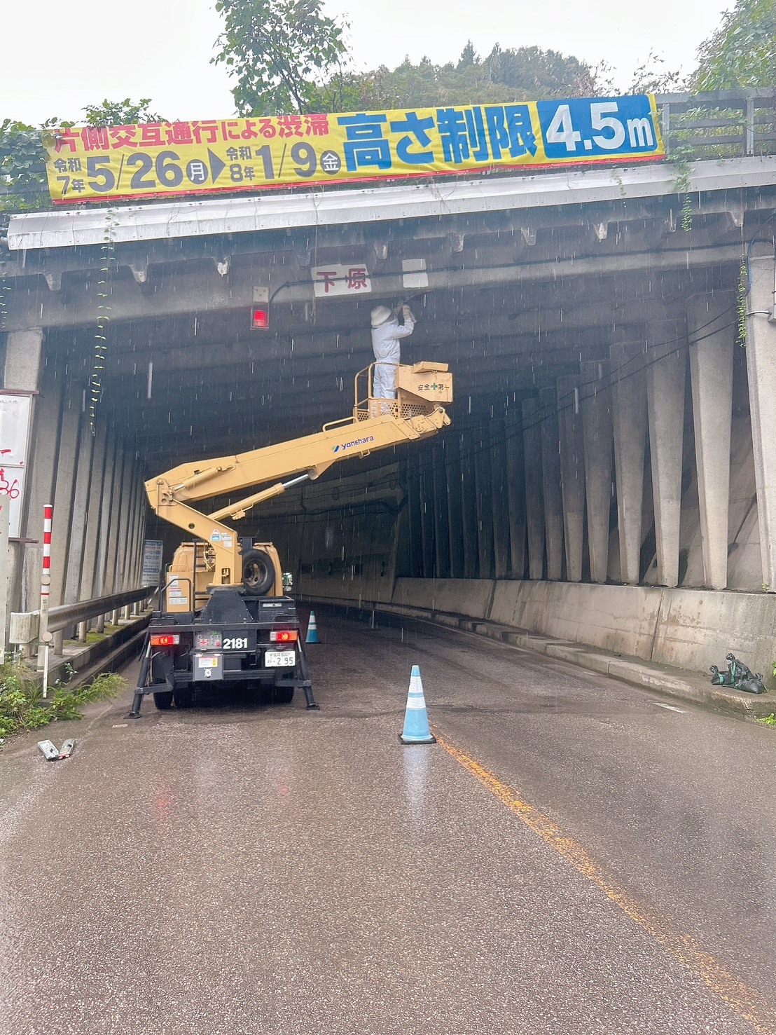 南砺市・キイロスズメバチ駆除 施工事例